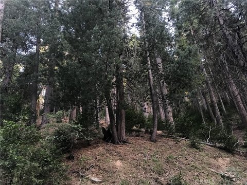 Raw Land in Cedarpines Park