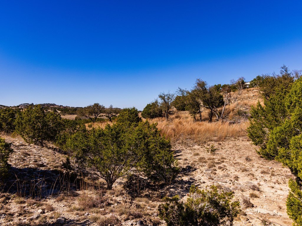 Picture 37
