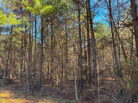 Land Available in Sheridan, AR