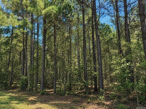 Land Available in Sheridan, AR
