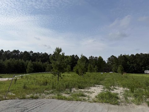 Zoned Limited Forest Agriculture Land