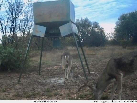 Mullin, TX Hunting and Recreational Ranch
