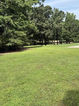 LAND - Somerville, TN