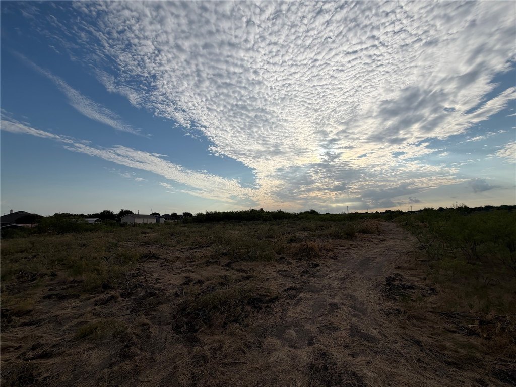 Picture 17