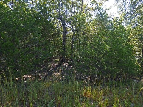 Residential Lots with Lake View