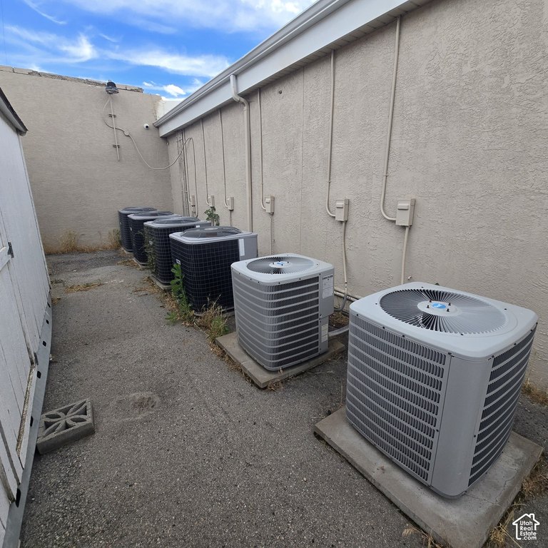 Picture 13