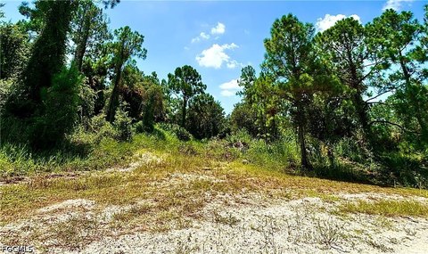 LAND - Alva, FL
