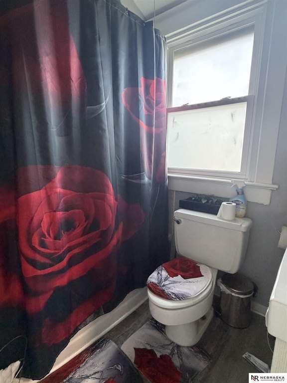 Picture 16
