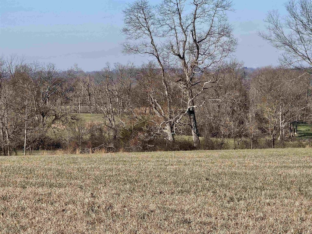 Picture 19