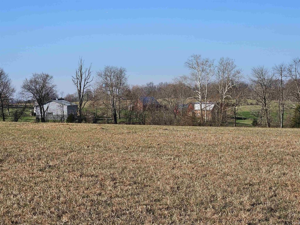 Picture 18