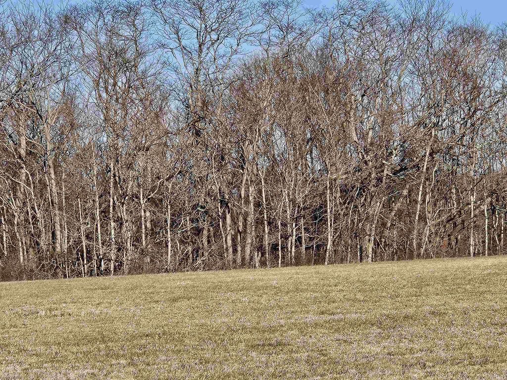 Picture 21