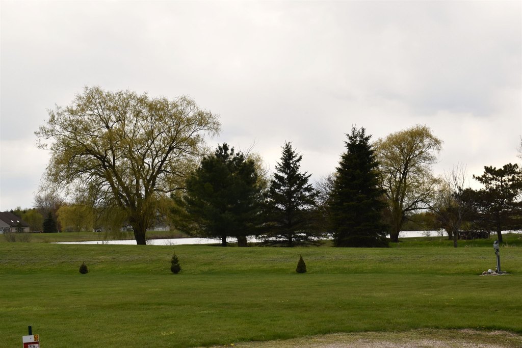 Picture 7