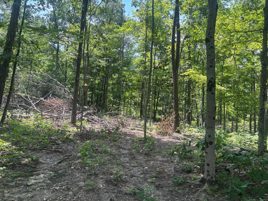 Picture 2
