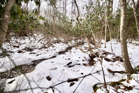 Waterfront Farmland Tract