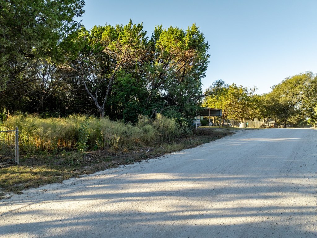 Picture 5