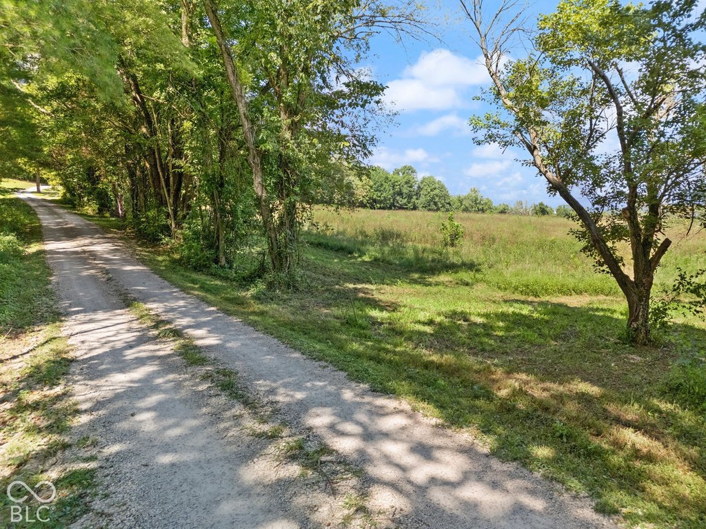 Picture 26