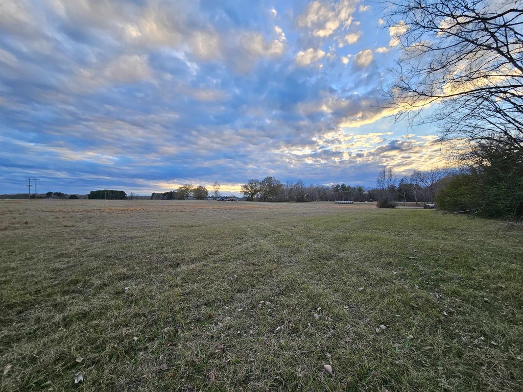 Picture 3