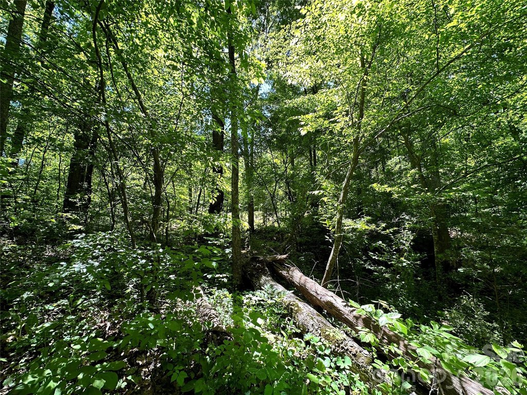 Picture 31