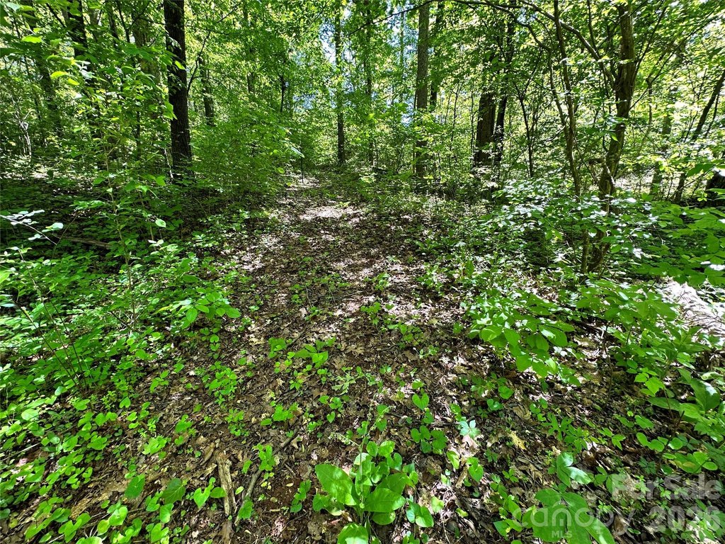 Picture 32
