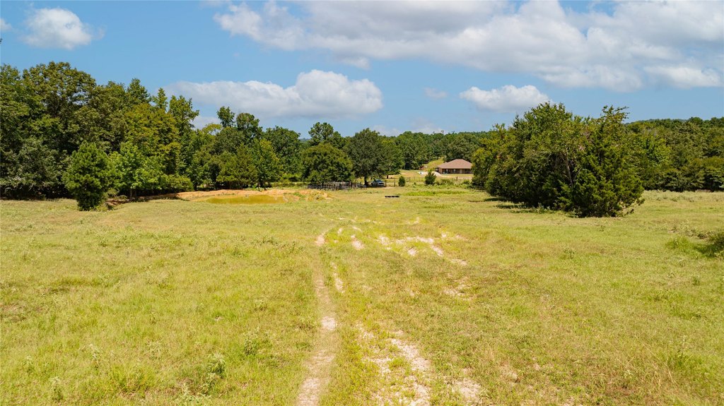 Picture 9
