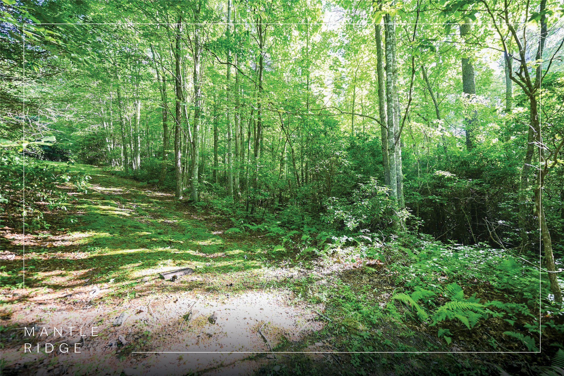 Land with Mountain View Potential