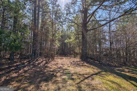 Loganville Land Parcel For Sale