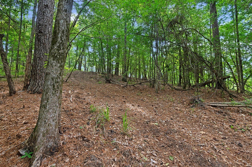 Picture 26