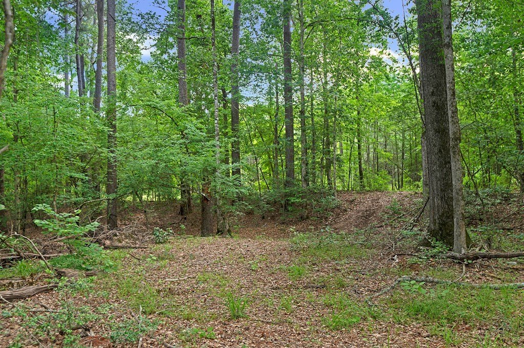 Picture 18