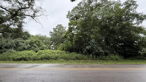 Wooded Lot in Holton, MI