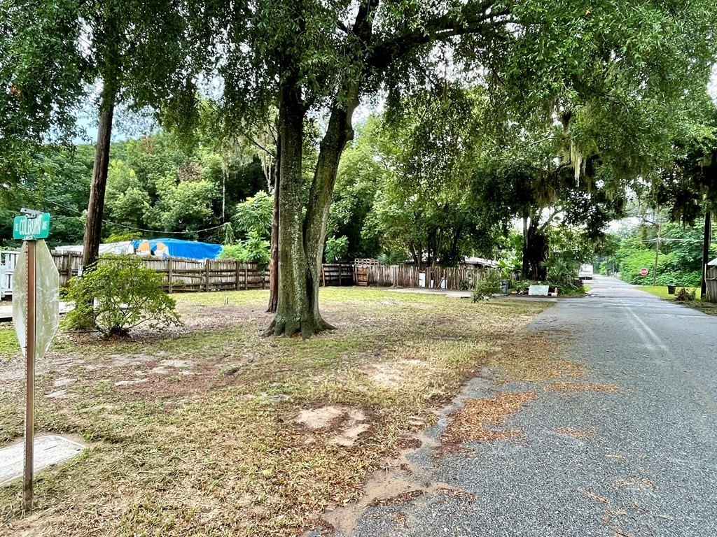 Picture 7