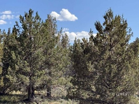 51.4 Acres with Mountain Views