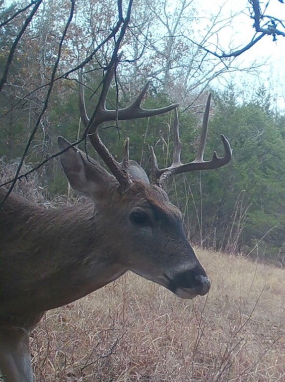 Picture 8