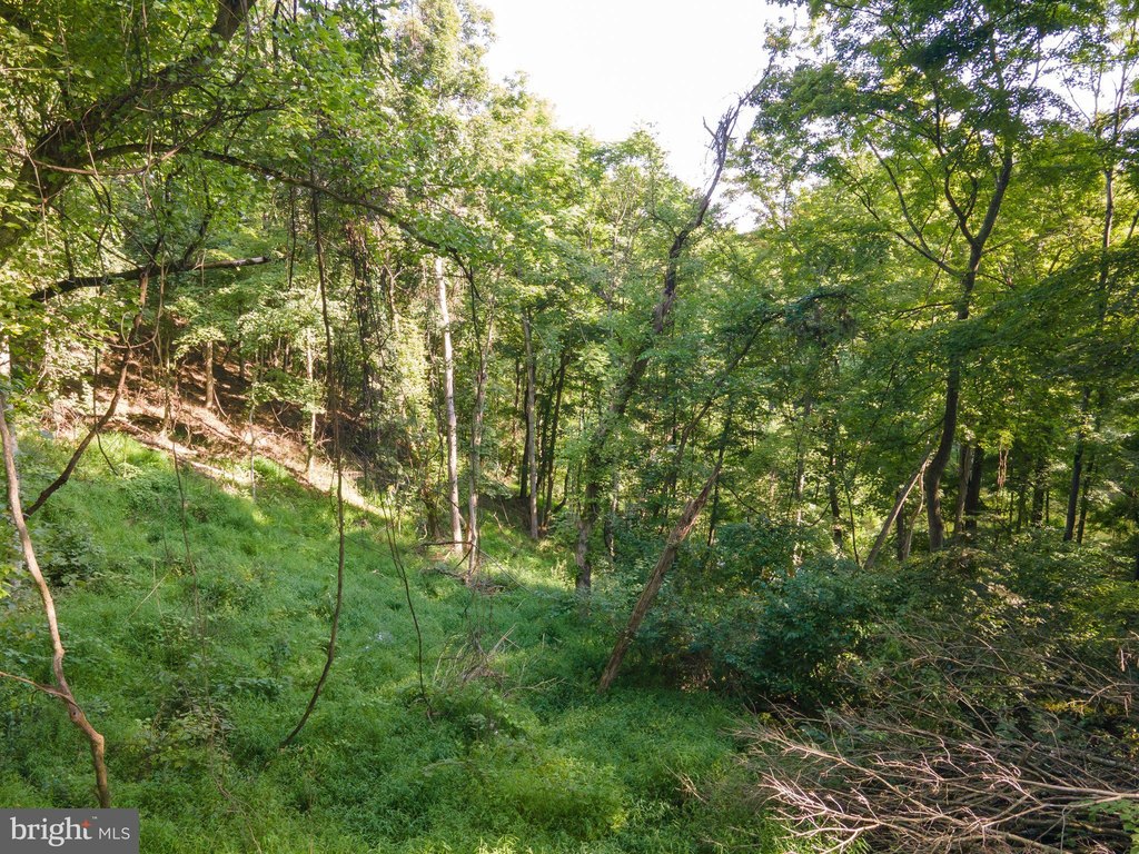 Picture 39