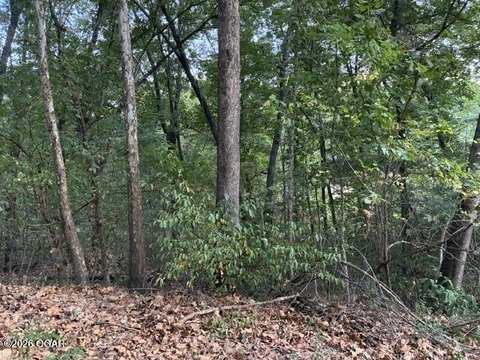 Land, Joplin, MO