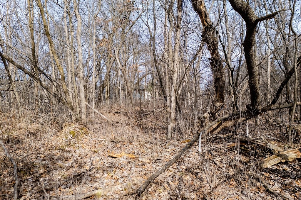 Picture 18