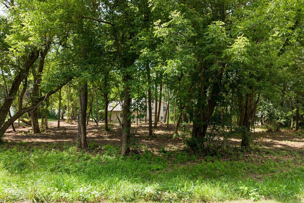 Picture 10