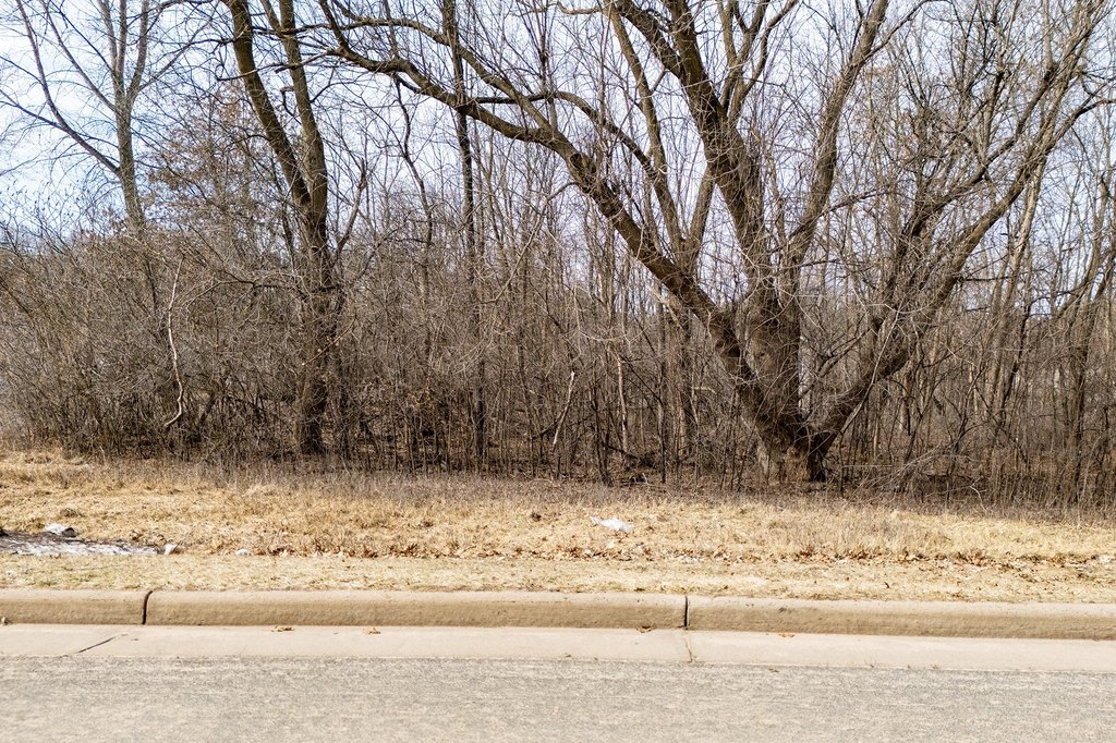 Picture 12