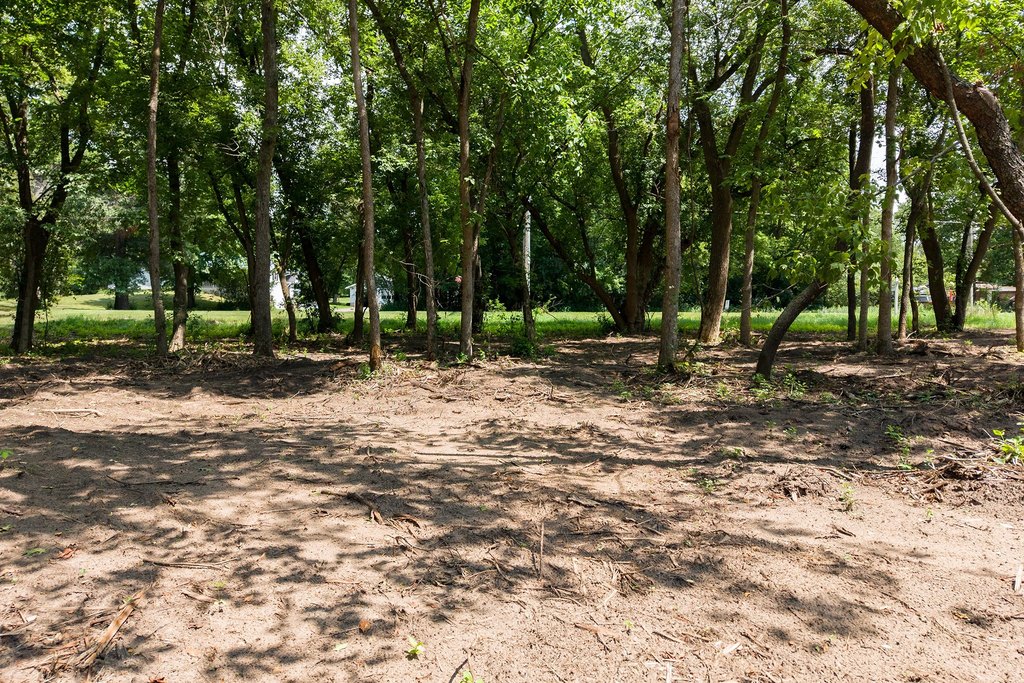 Picture 18