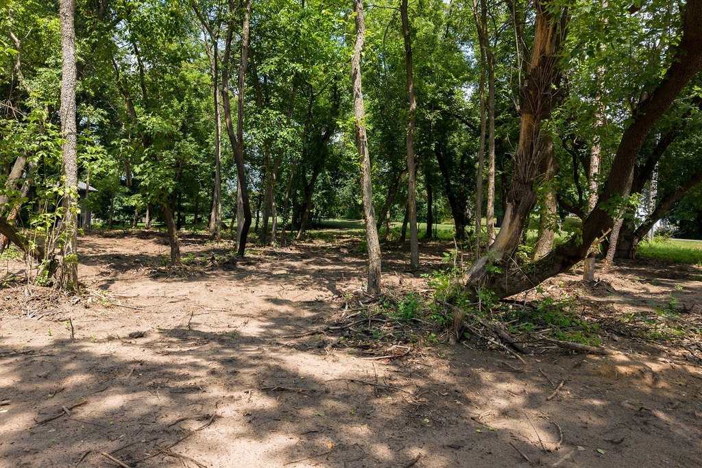 Picture 14
