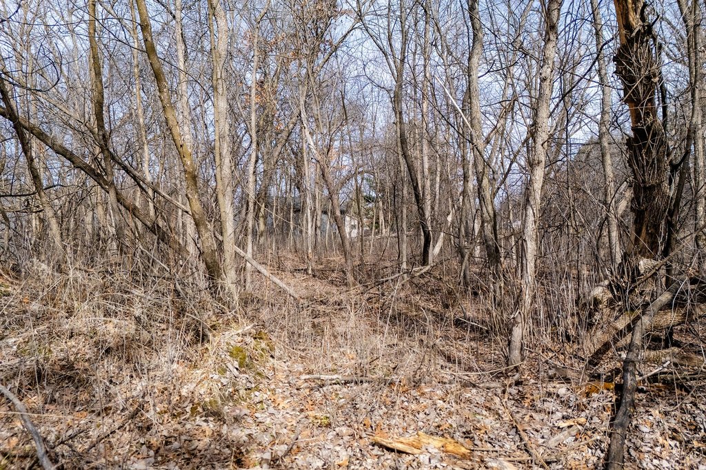 Picture 19