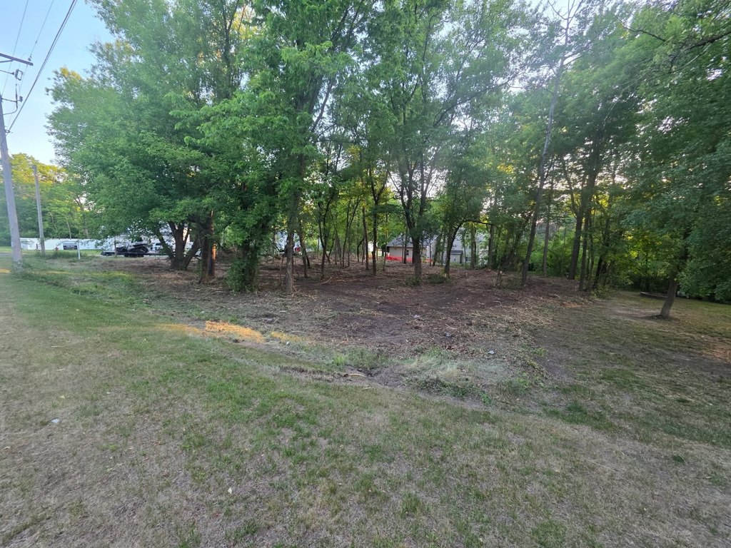 Picture 23