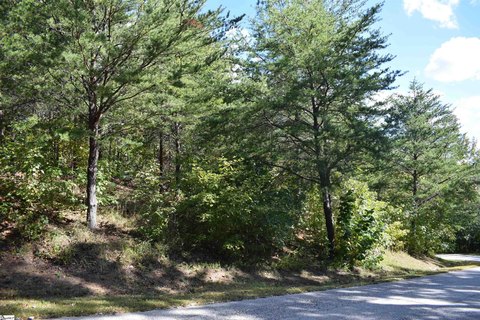 Columbus, NC Building Lot