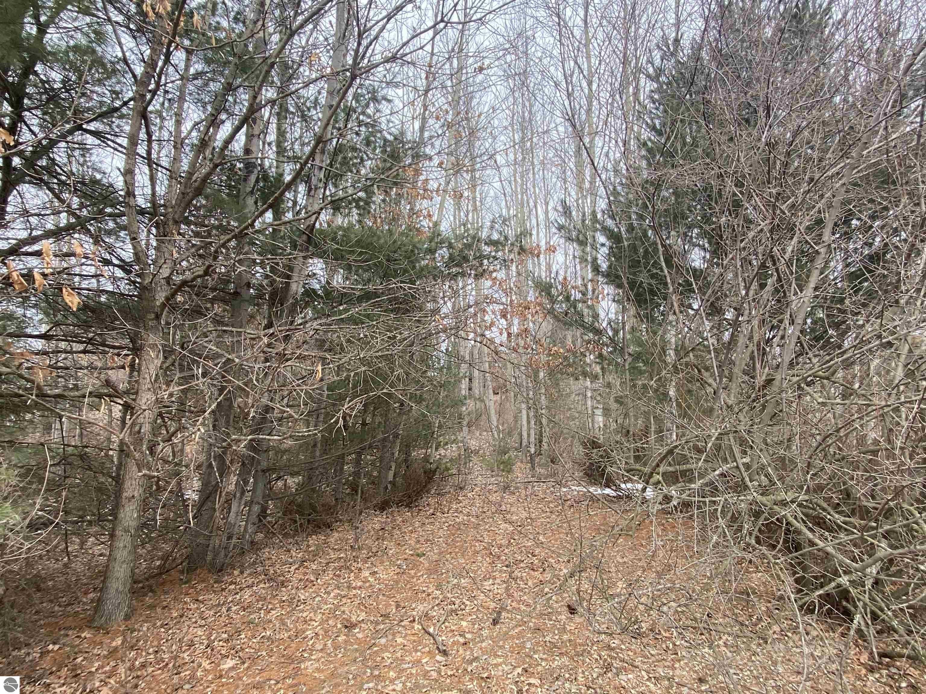 Vacant Land in Kirkridge Hills