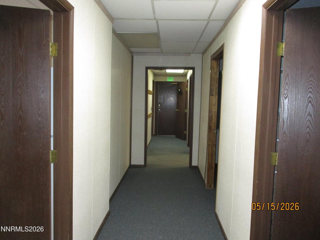 Picture 44