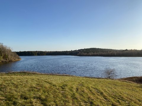 Waterfront Land in Jonesboro, Maine
