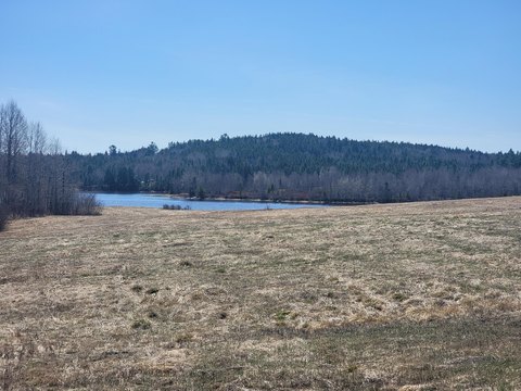 Waterfront Land in Jonesboro, Maine