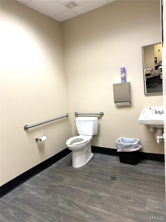 Picture 6