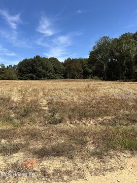 Land in Byhalia, Mississippi