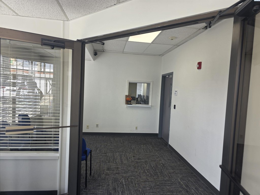 Picture 11