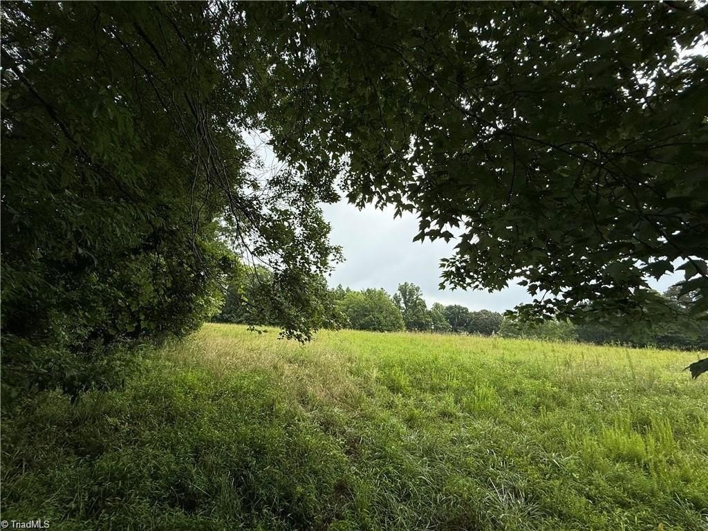 Picture 7